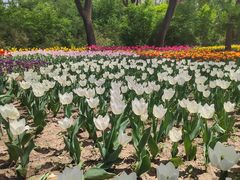 -沈阳植物园
