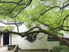 -虎跑公园