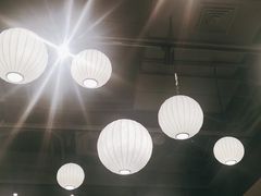 大堂-菩提树·素食餐厅(汇智国际商业中心店)