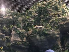 -房山世界地质公园博物馆