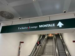 -米兰马尔彭萨国际机场