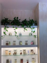 -诗媛嘉美健康管理中心(金桥店)