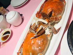 -高佳庄·舟山海鲜(海景旗舰店)