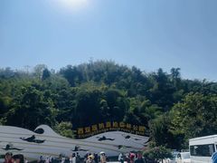 -西双版纳原始森林公园