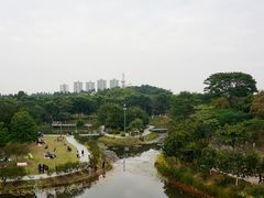 景点-东莞植物园