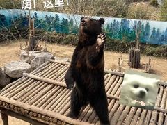 -济南野生动物世界