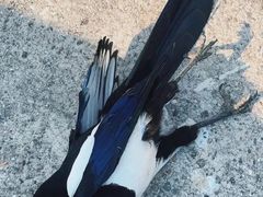 -南京金牛湖风景区