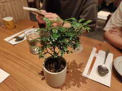 -CURRY YA 熟成咖哩專門店(深圳湾万象城店)