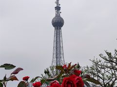 -文华公园(禅城区)