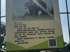 -保定市动物园