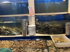 -海天盛宴新派海鲜自助餐厅(群力店)