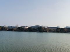 -羊山湖公园