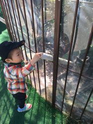 -萌宠亲子动物乐园(槐房万达店)