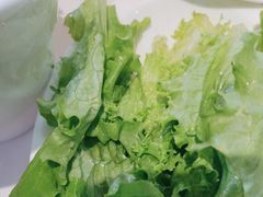 -蒙都43°9羊火锅·赤峰美食(宁城店)