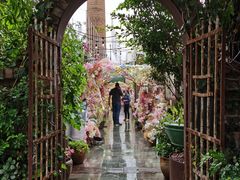 -The Grounds of Alexandria