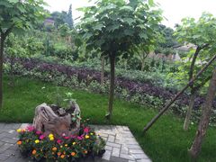 -森居forest休闲咖啡聚集地