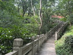 -句容茅山景区
