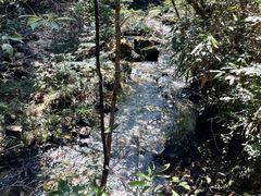 -九龙江国家森林公园