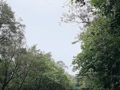 -广州莲花山旅游区