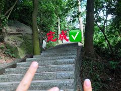 -火炉山森林公园