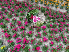 -狼山风景名胜区