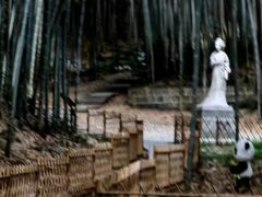 -敬亭山风景名胜区