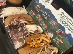 当季野生菌拼盘-芸山季·云南山珍菌火锅(人民广场来福士店)