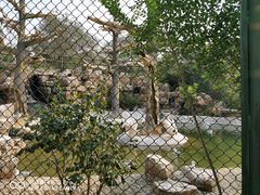 -石家庄市动物园