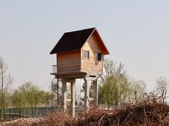 -东郊湿地公园