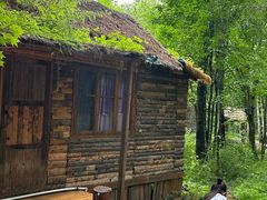 -五营红松林海景区