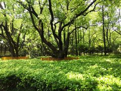 -徐家汇源景区-衡山公园