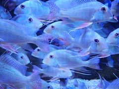 -成都浩海立方海洋公园