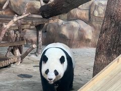 -南宁市动物园
