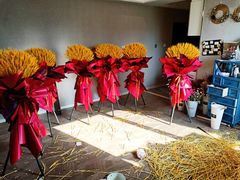 -红星美凯龙(东北全球家居1号店)