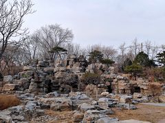 -莲花池公园