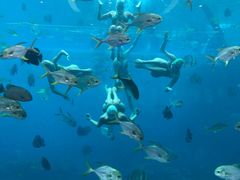 -瑞德姆美人鱼海底演艺主题餐厅(亚龙湾店)