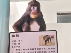 -西安秦岭野生动物园