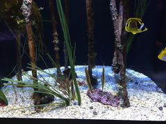 -西雅图水族馆