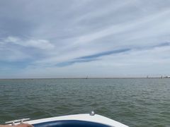 -碧海金沙
