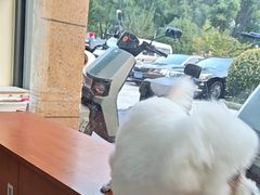 -艾贝尔宠物医院 ·内科全科(梁溪路店)