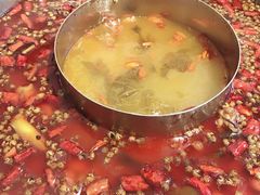 酸菜豆腐锅中锅-蛙两只美蛙鱼头火锅(恒茂店)