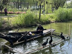 -长兴太湖图影湿地文化园