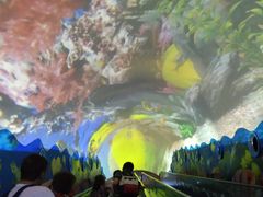 -成都浩海立方海洋公园