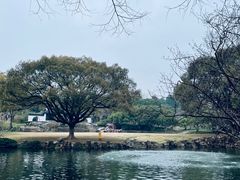 -无锡梅园公园