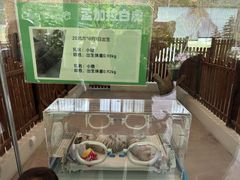 -宁波野生动物园