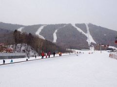 -亚布力新体委滑雪场