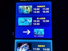 -哈尔滨波塞冬海底世界