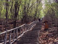 -五女山景区