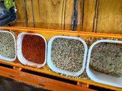 -海拉尔碳烤羊腿烤鸽子(吕营店)