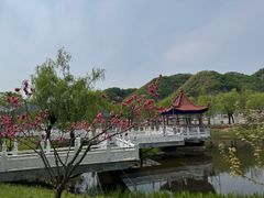 -河口景区